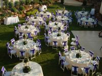 düğün organizasyonu