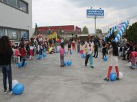 çocuk şenlik ve piknik organizasyonları