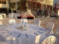 düğün organzasyon