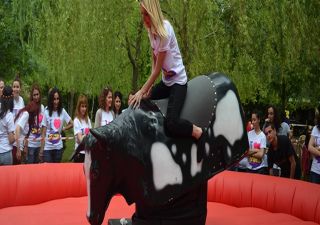 piknik organizasyonları