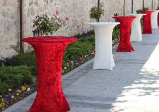 açılış organizasyonları