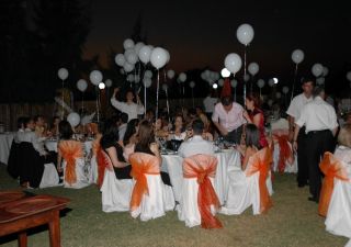 düğün organizasyonları